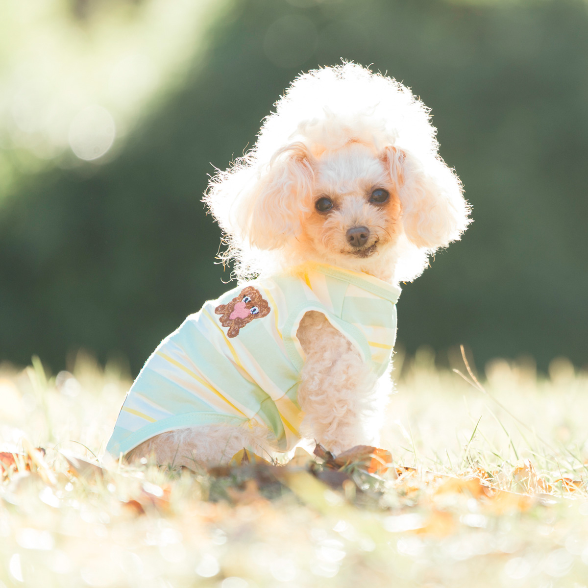 RADICA（ラディカ） 【獣医師監修】犬 服 ライフWANウエア タンク