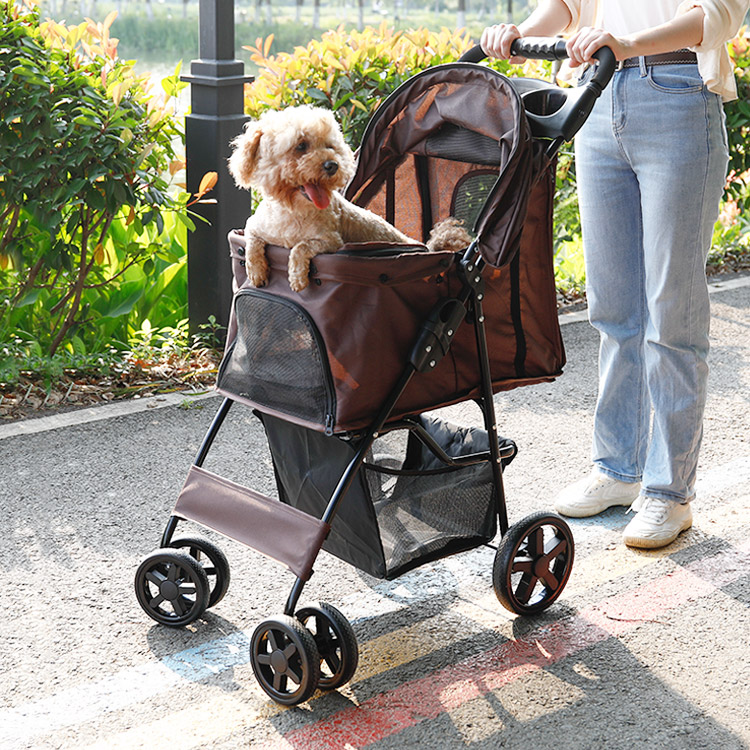 b8-petcart-4-001.jpg