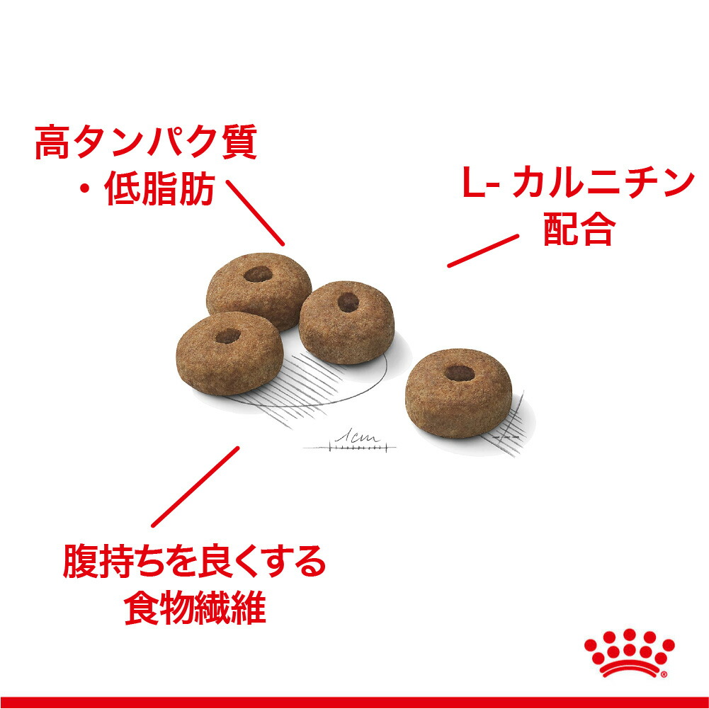 ケーナイン ケア ニュートリション ロイヤルカナン CCN マキシ