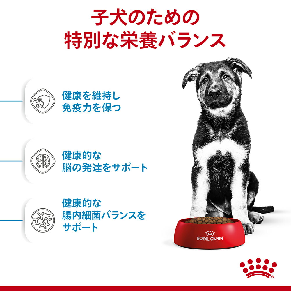サイズ ヘルス ニュートリション ロイヤルカナン SHN マキシ パピー
