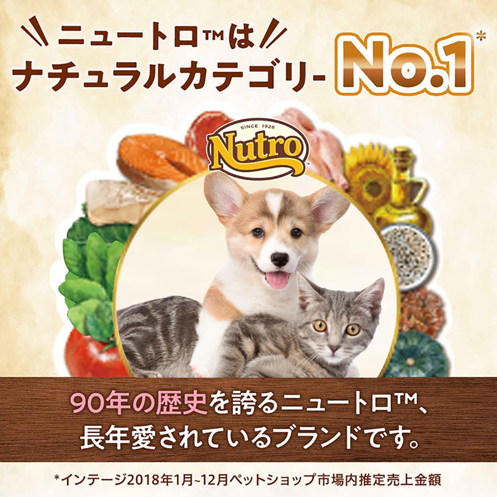 Nutro Supremo 超小型犬用 ドライフード 4kg Nutro Supremo 成犬用 4kg