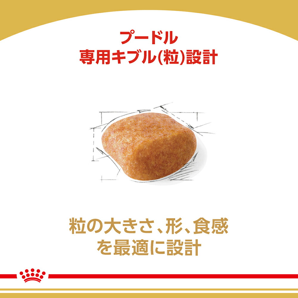 ブリード ヘルス ニュートリション 【3kg×2袋】ロイヤルカナン BHN