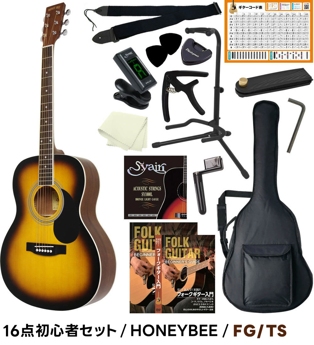 アコースティックギター 初心者セット 16点 W-15/F-15 アコギ 入門