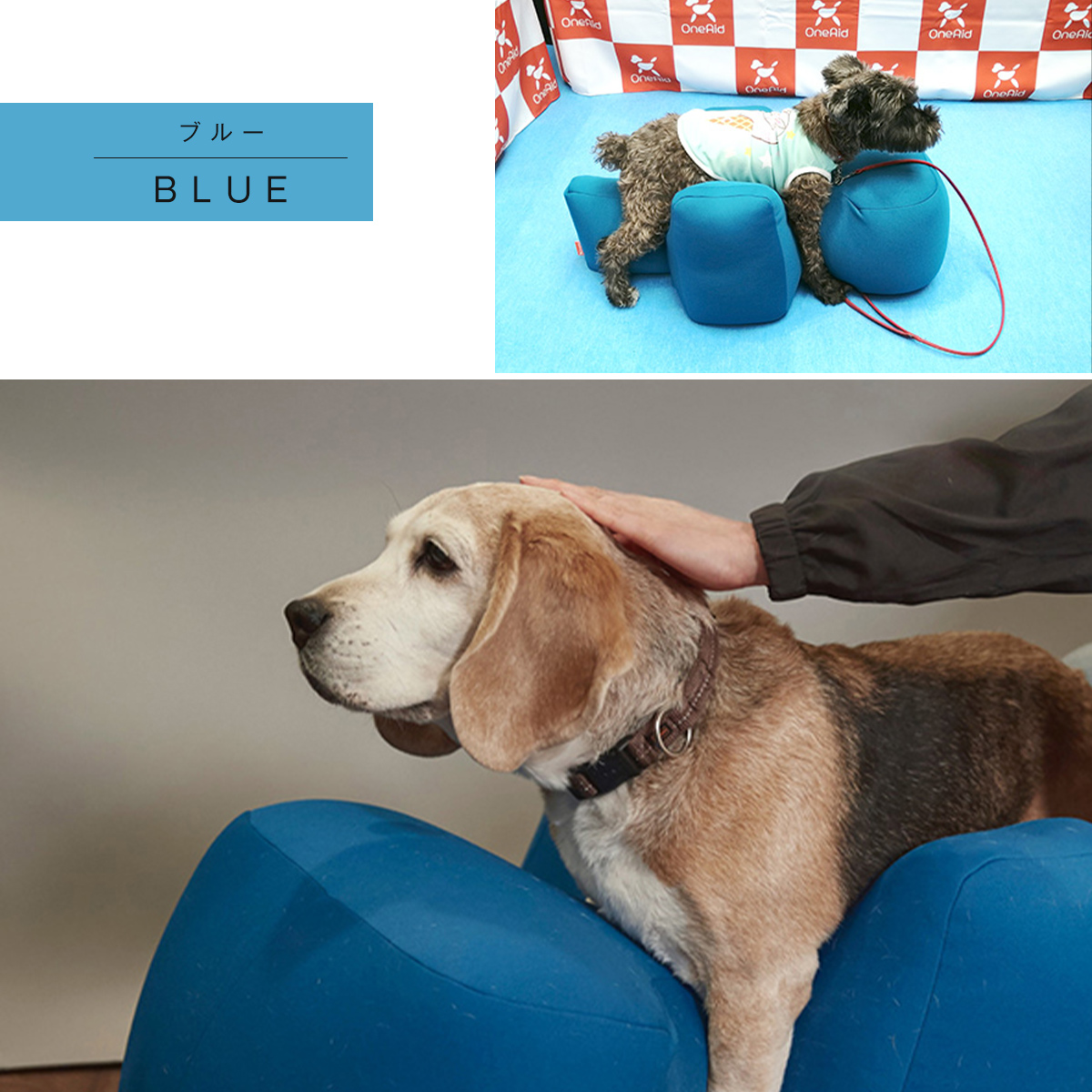 OneAid リラクッション DL 中型犬用 短足犬用 犬用介護用品 アロン化成