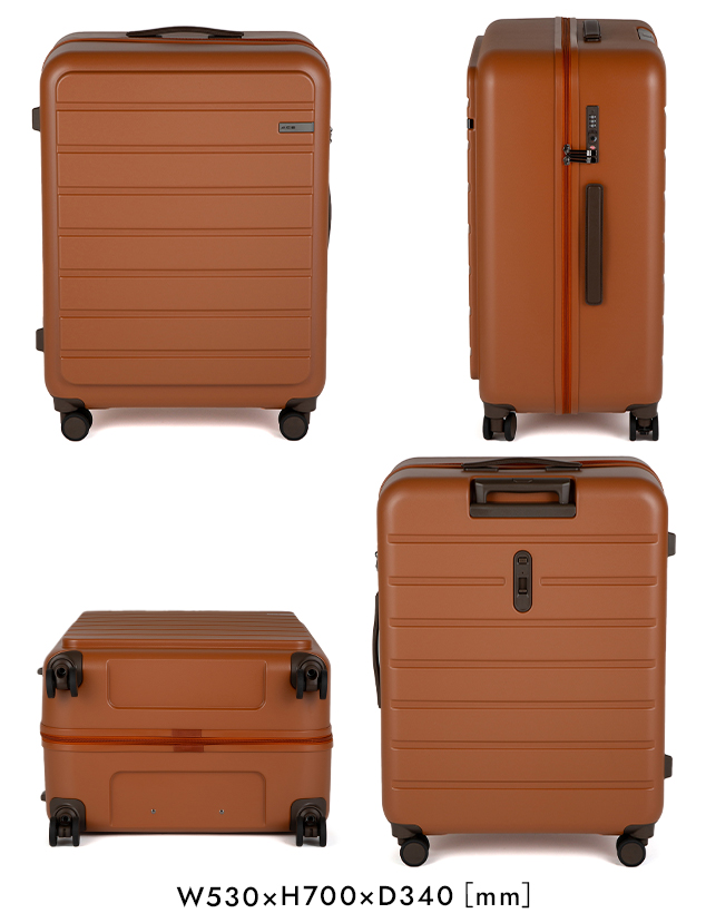 ACE フレットボード スーツケース 100L ace-05434｜ONLINE STORE by