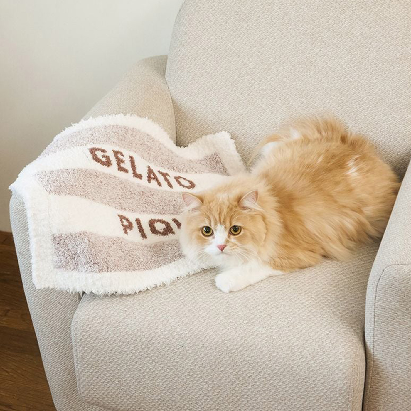 gelato pique（ジェラートピケ） CAT&DOG ジェラートメランジ2ボーダー