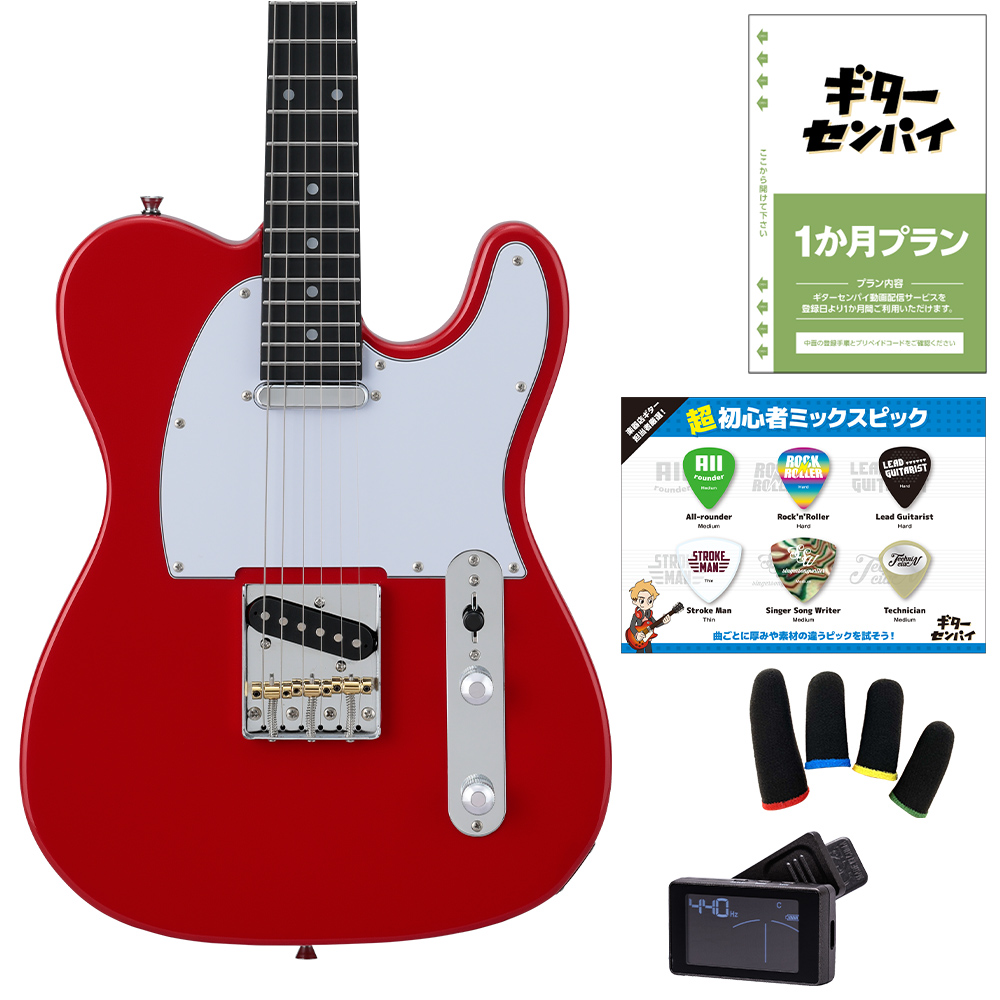 ギターを挫折したくないあなたへ BUSKER'S バスカーズ BTL-Standard 超