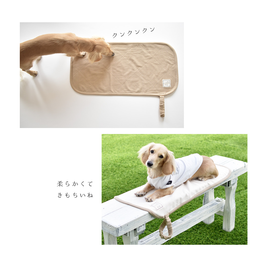 カフェマット ペット用 プリント名入れ マナー 敷物 カフェ マット