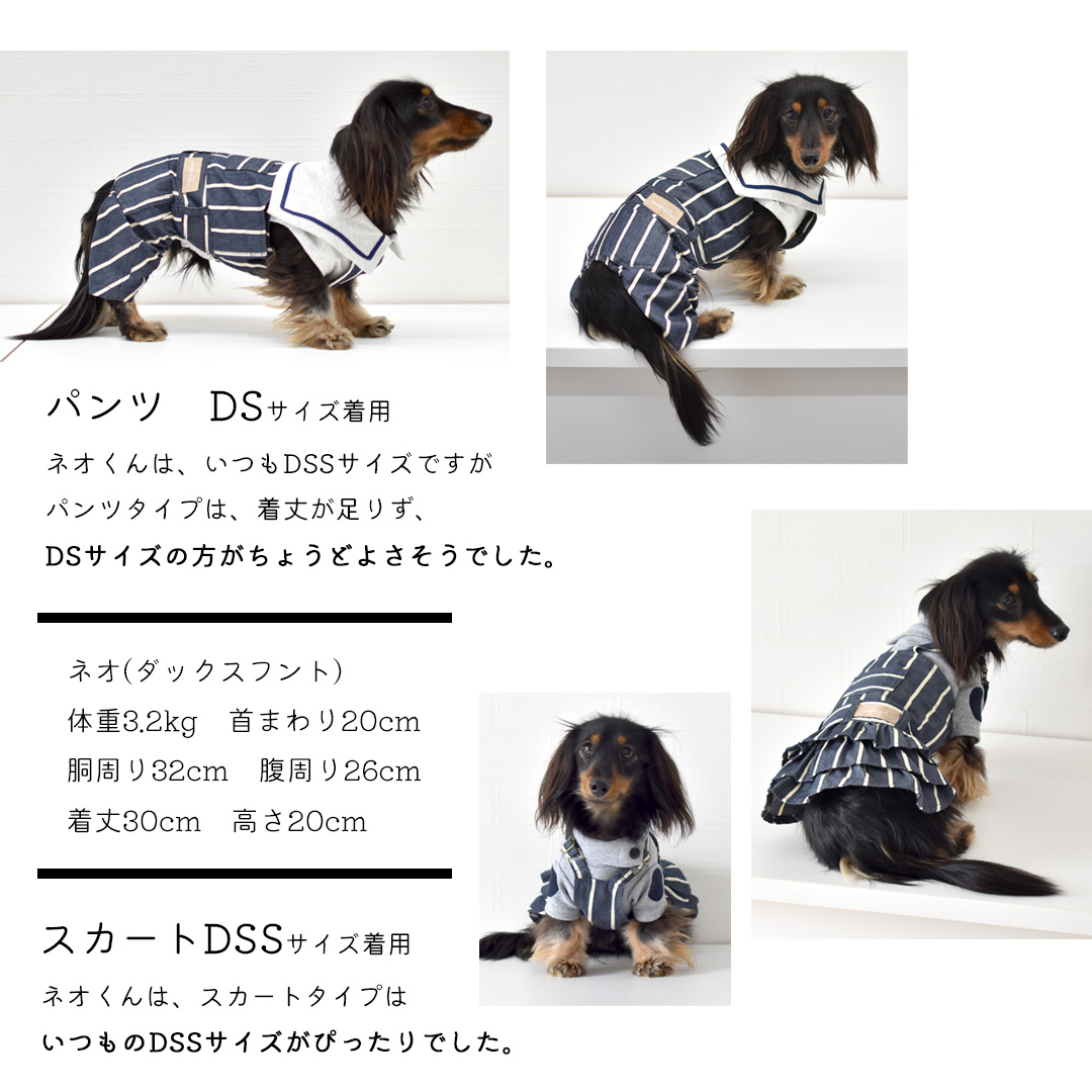 サラダ様ページ②です ダックスフンド 犬服 わんこ服 サラダ様ページ