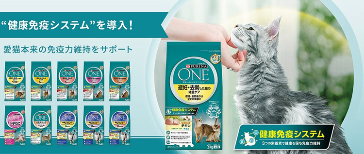 ピュリナワンキャット 美味を求める成猫用1歳以上チキン ( 4袋入×3