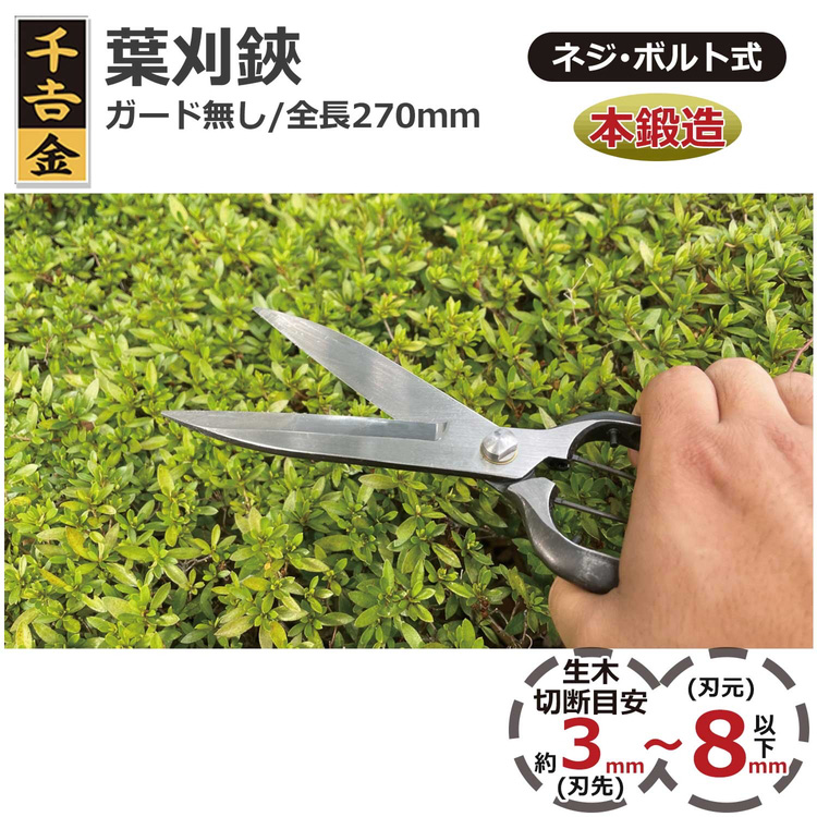 2011 外国切手 国連 絶滅危惧種動物 田型4連刷 3組 未使用 【公式通販】