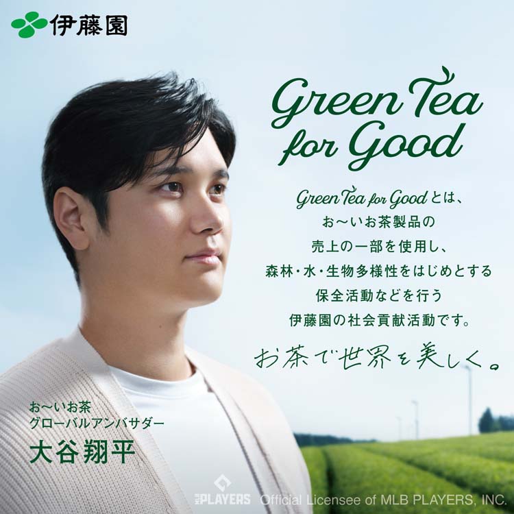 伊藤園 おーいお茶 緑茶 ホット兼用 ( 195ml*30本入 )/ お〜いお茶