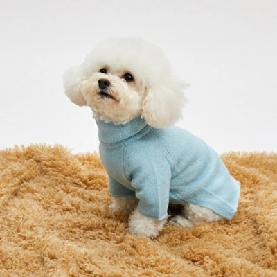 TIARA PETS JAPAN - louisdog ルイスドッグ｜Yahoo!ショッピング