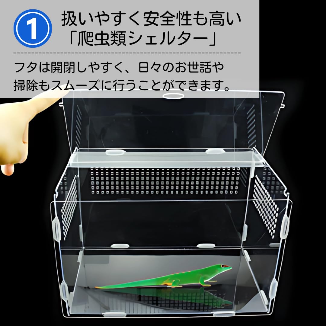 ateena 爬虫類 ケージ 飼育ケース 水槽 レプタイル 飼育セット