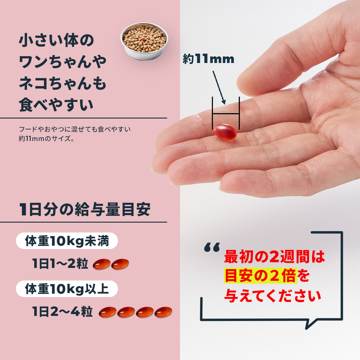 Vetz Petz（ベッツペッツ） 公式 アンチノール プラス ペットサプリ 30