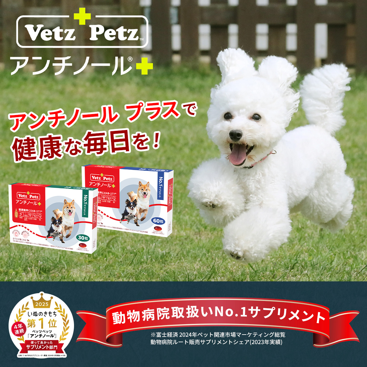 Vetz Petz アンチノール 90粒入り2箱