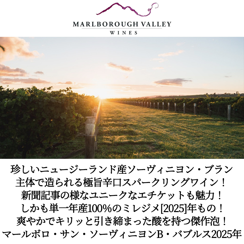 ターニングポイント ポジトロン マーカス・コウ マーブルカラー marble