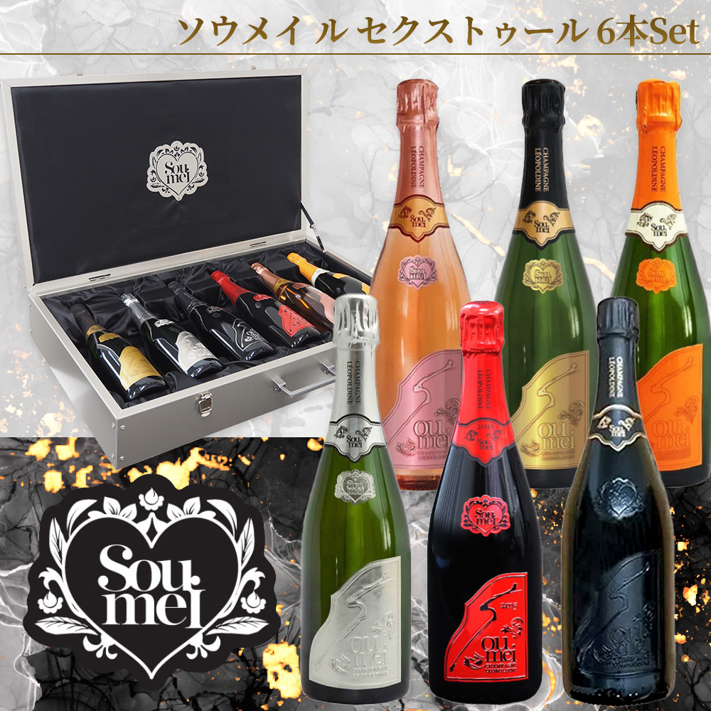 送料無料 正規品】【豪華アタッシュケース】ソウメイ ル セクス