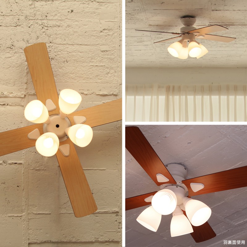 plus more 特典付 plusmore シーリングファン Windouble ウィンダブル