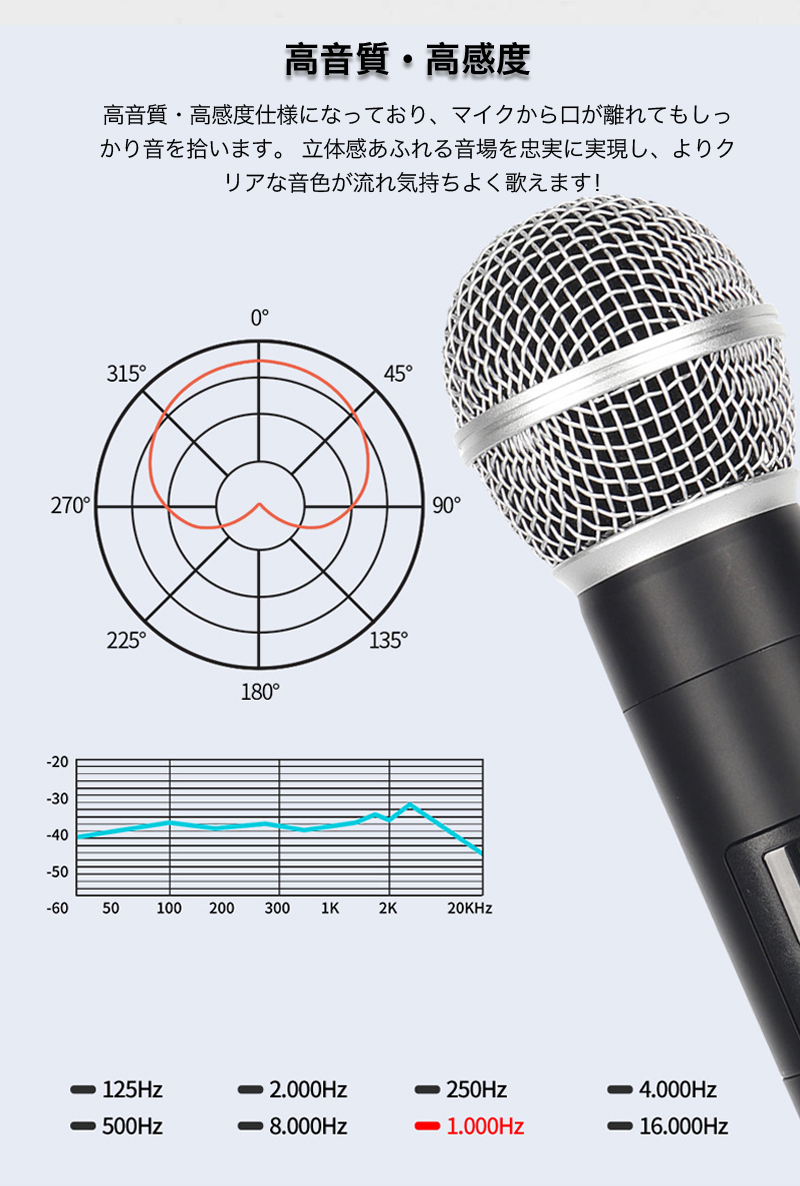 ワイヤレスマイク 2本 セット カラオケ マイク 2本同時 ハンドマイク