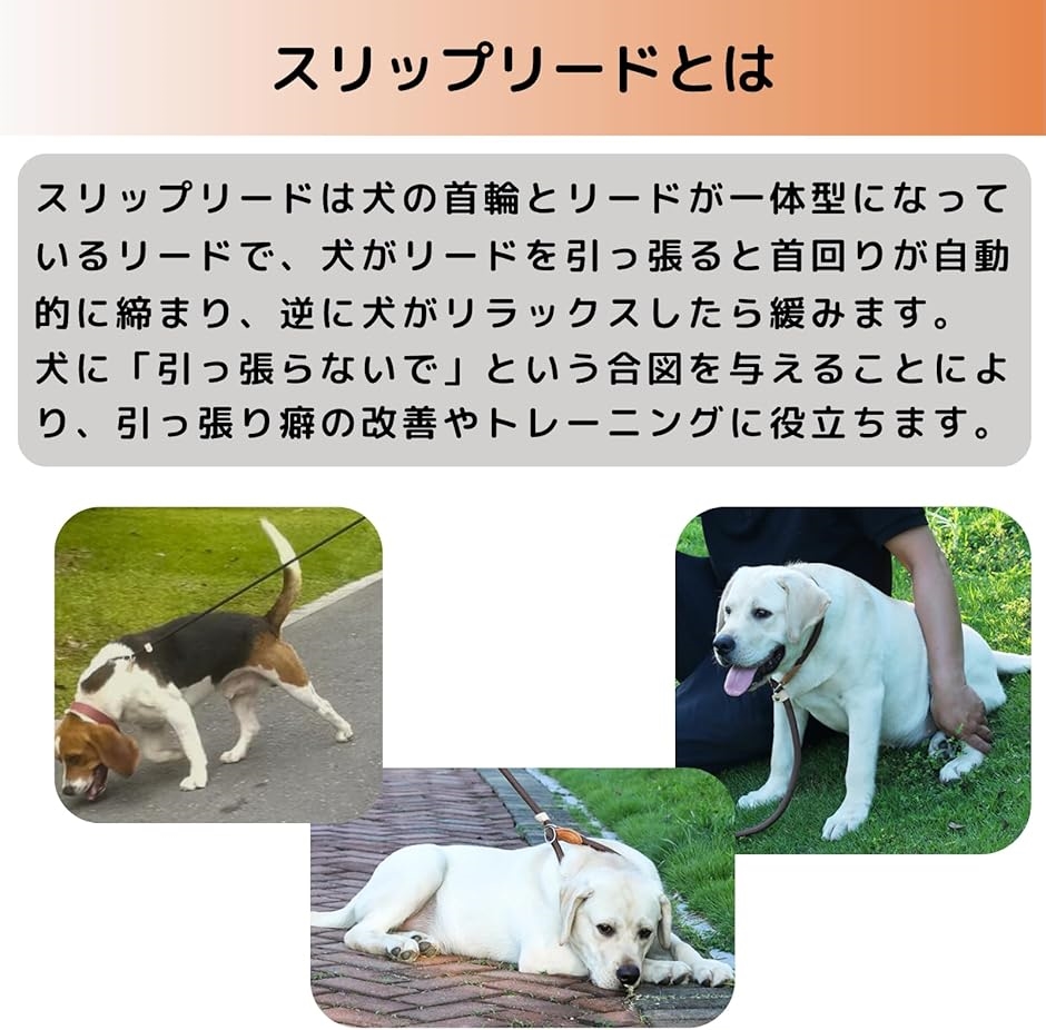 スリップリード 肩掛け 多機能 ハンズフリー 2.6m たすき掛け