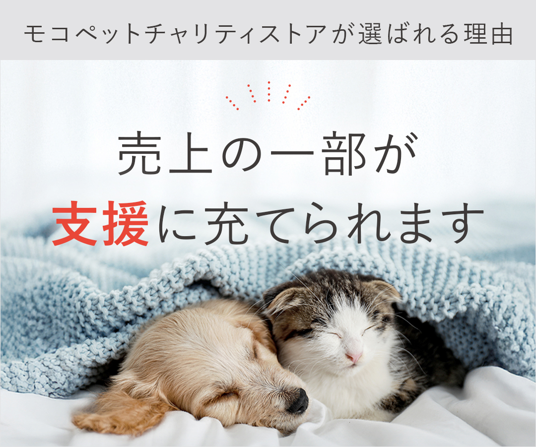 ロイヤルカナン（ROYAL CANIN） 【お得な12個セット】ロイヤルカナン