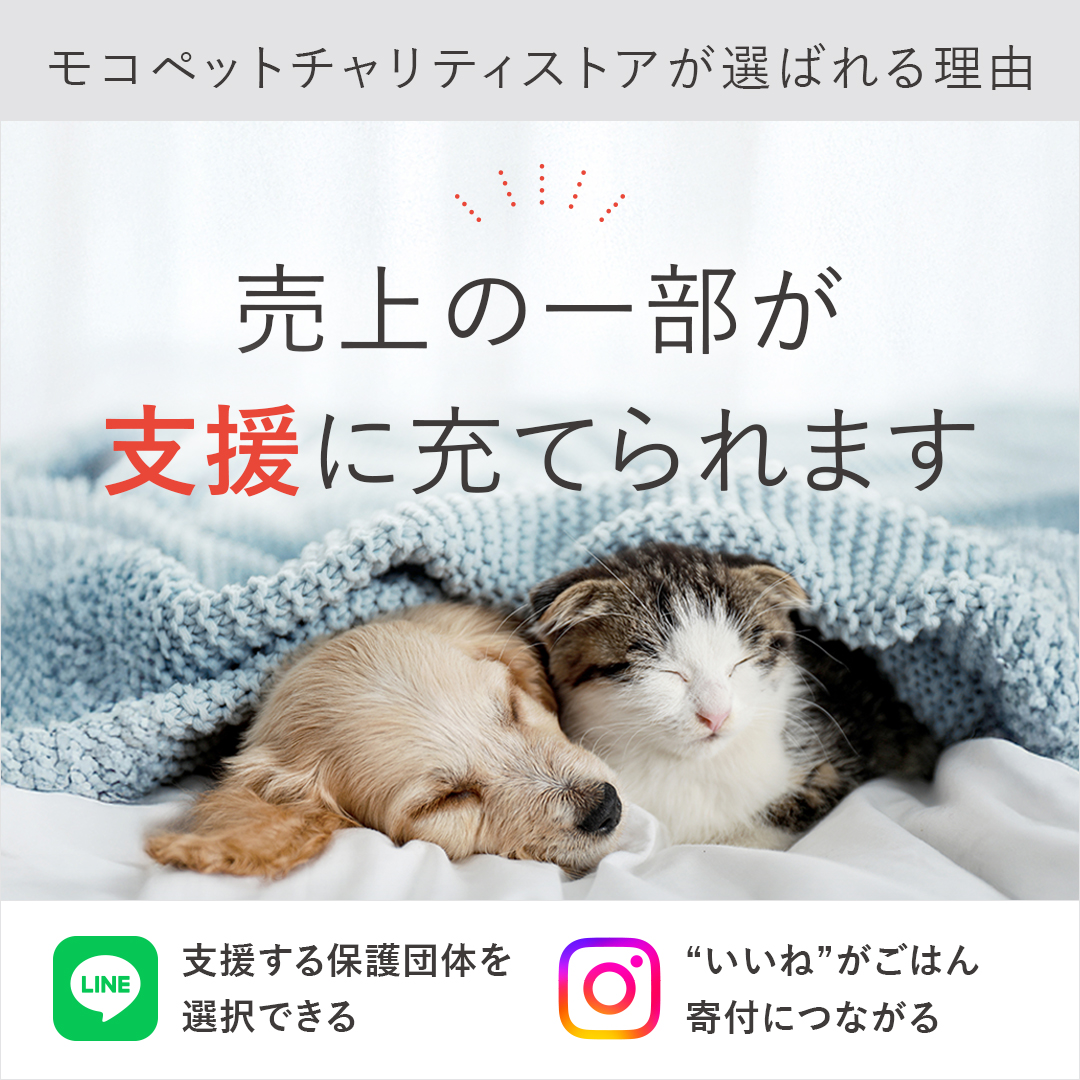 INABA ちゅ〜る チャオちゅーる かつお 14g×4本入 / ちゃおちゅーる