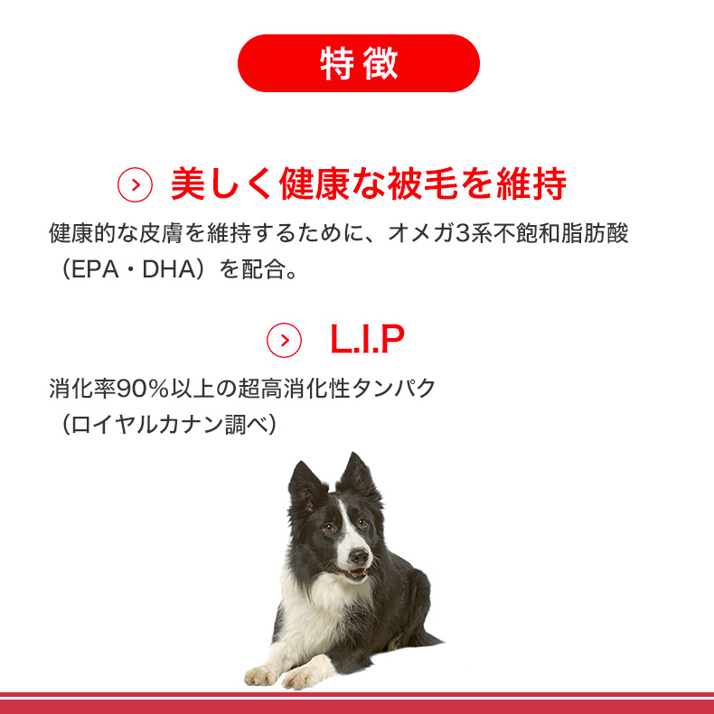 ロイヤルカナン（ROYAL CANIN） ミディアム アダルト 7＋ 10kg / 中型