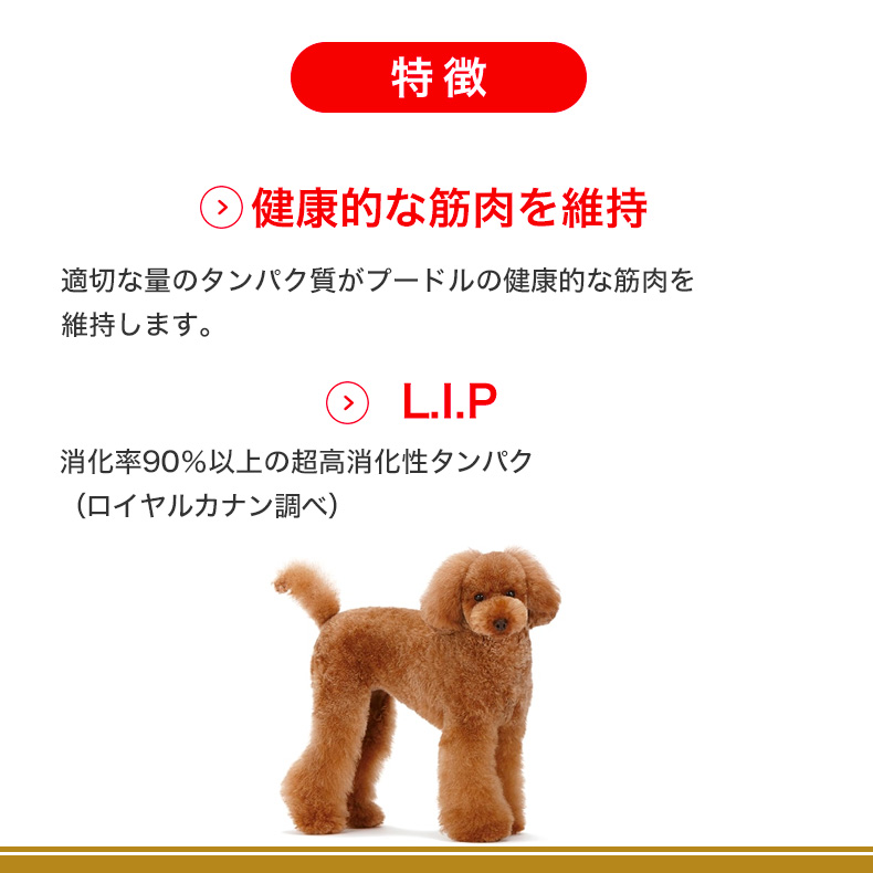 ロイヤルカナン（ROYAL CANIN） プードル 成犬用 800g / プードル成犬