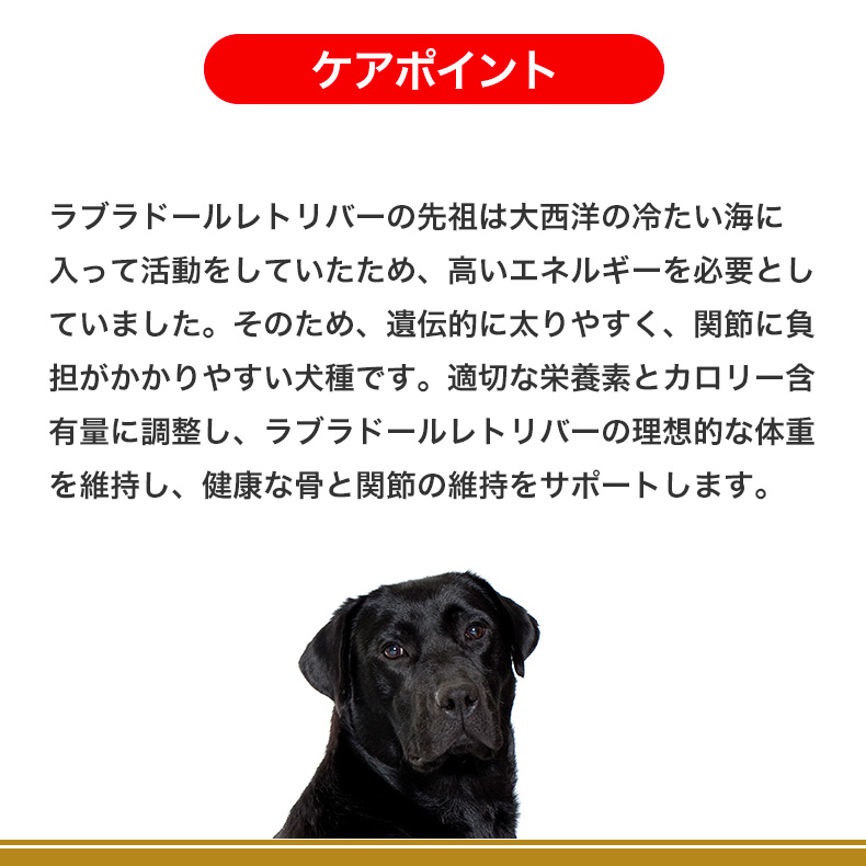 ロイヤルカナン（ROYAL CANIN） ラブラドールレトリバー