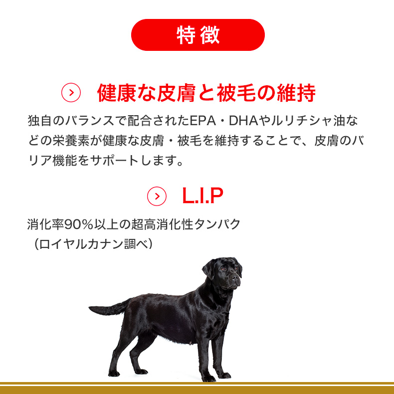 ロイヤルカナン（ROYAL CANIN） ラブラドールレトリバー