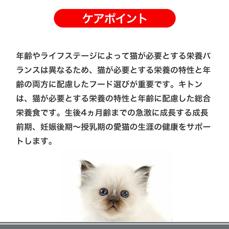 ロイヤルカナン（ROYAL CANIN） 【お得な24個セット】ロイヤルカナン