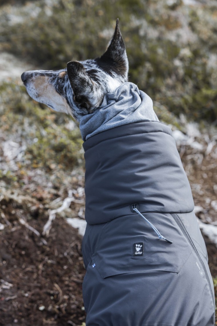 フィンランドのドッグブランド【Hurtta】【フルッタ】フルッタ史上最強