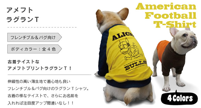 名入れ アメフト ラグラン Tシャツ メール便 送料無料 フレンチ