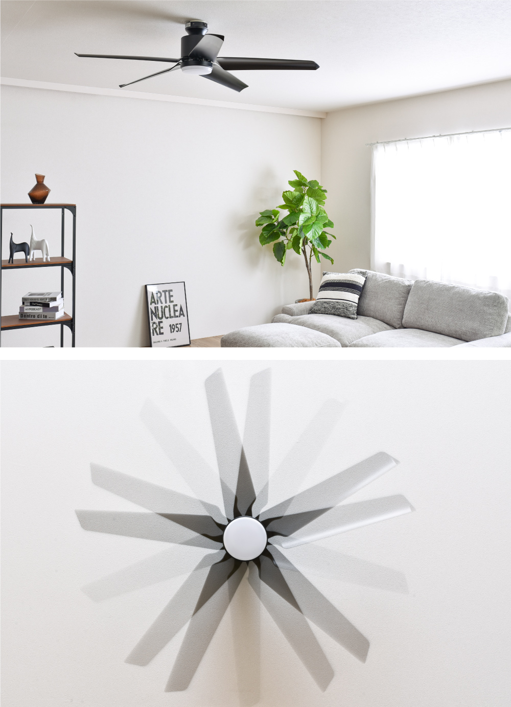 シーリングファンライト Finia (フィニア) 【公式通販】