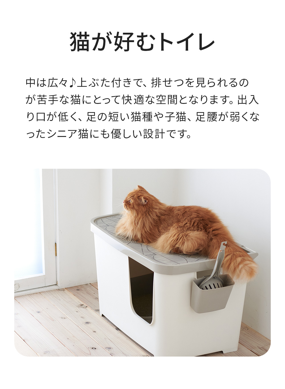 OFT [大型 猫トイレ カセッタ] 猫 ねこ ネコ ネコトイレ ねこトイレ