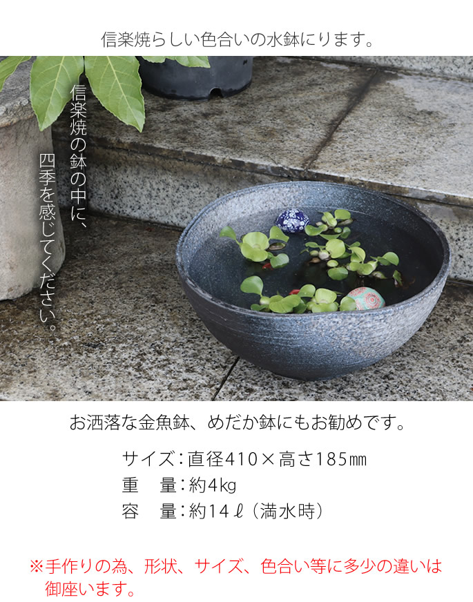 信楽焼 メダカ鉢 おしゃれ 水鉢 睡蓮鉢 陶器 めだか 金魚鉢 青 メダカ