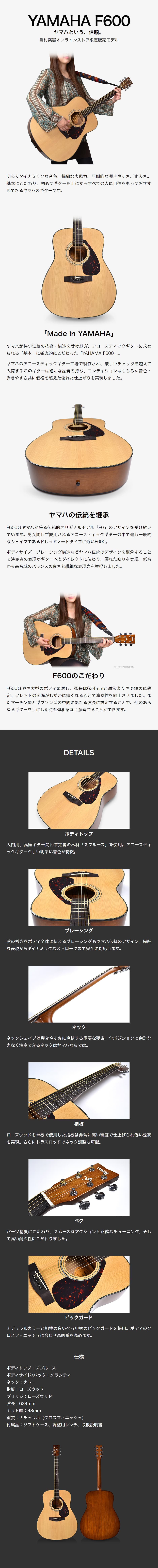 YAMAHA（ヤマハ） F600 アコースティックギター 初心者12点セット