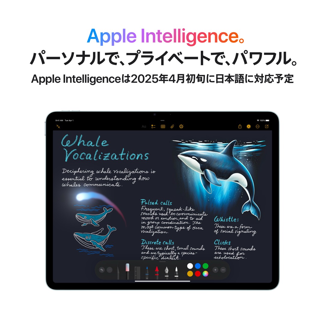 11インチiPad Air Wi-Fiモデル 128GB - スペースグレイ:Apple Rewards