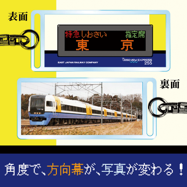 255系LED方向幕ﾁｪﾝｼﾞｷｰﾎﾙﾀﾞ1しおさい号 東京:硬券ショップ通販