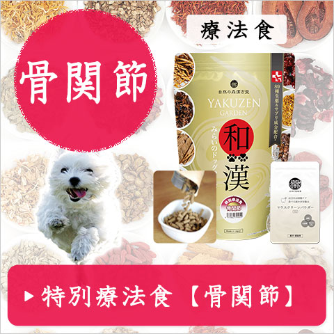 和漢みらいのドッグフード【和漢鹿肉アイケアジュレ】～和漢おやつシリーズ