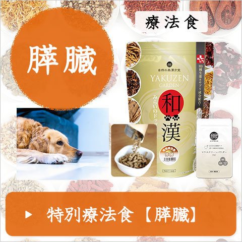 樹木ノチカラ（エキス粒・パウダー）紅豆杉エキス粒、紅豆杉茶から樹皮末へ