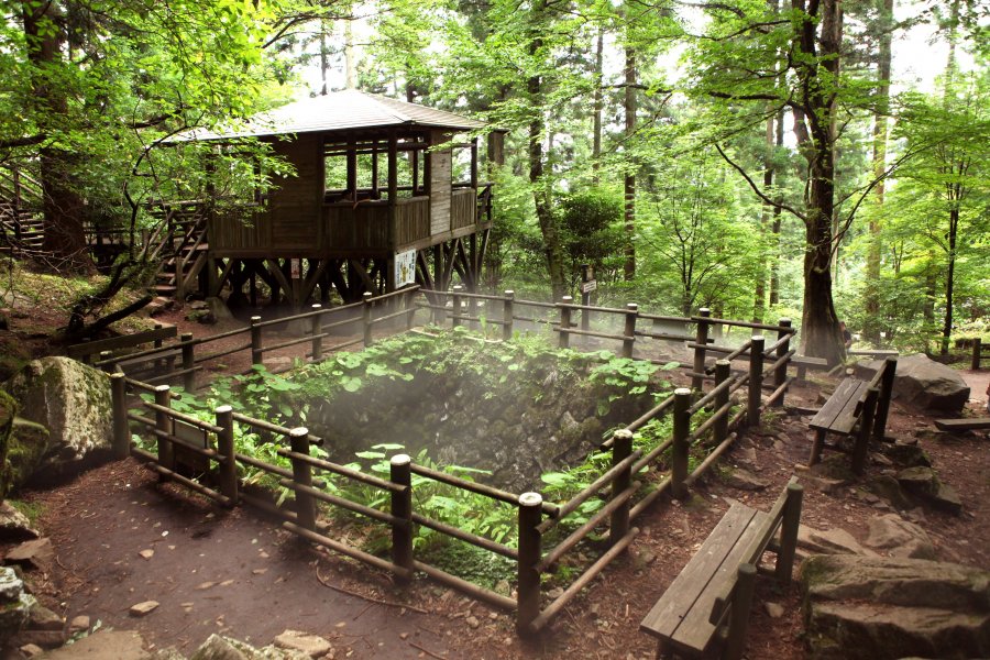 上林森林公園｢風穴｣｜スポット・体験｜四国のおすすめ観光・旅行情報