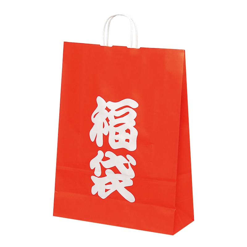 パックタケヤマ 自動手提袋 HV100 福袋 XZTT0950 50枚/袋（ご注文単位4