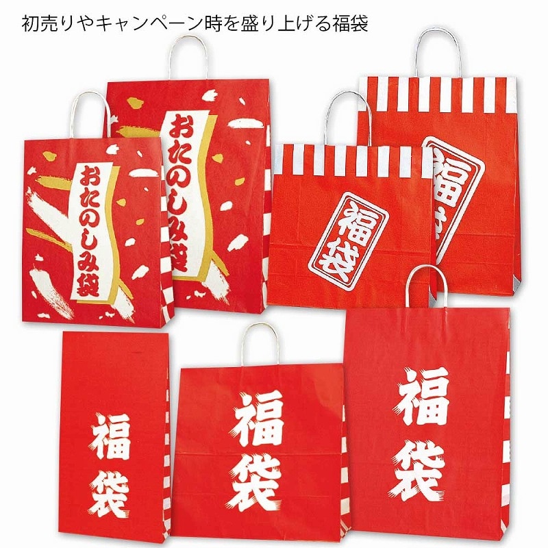 HEIKO 紙袋 福袋 ファンシーバッグ 4才 福袋 100枚/袋 002643100 包装
