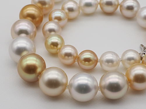 テリ最強 「オーロラ・フェニックス」鑑別鑑定書付き 白蝶真珠