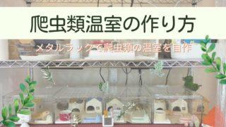 暖突をグラステラリウムに取り付ける方法！爬虫類の温度管理