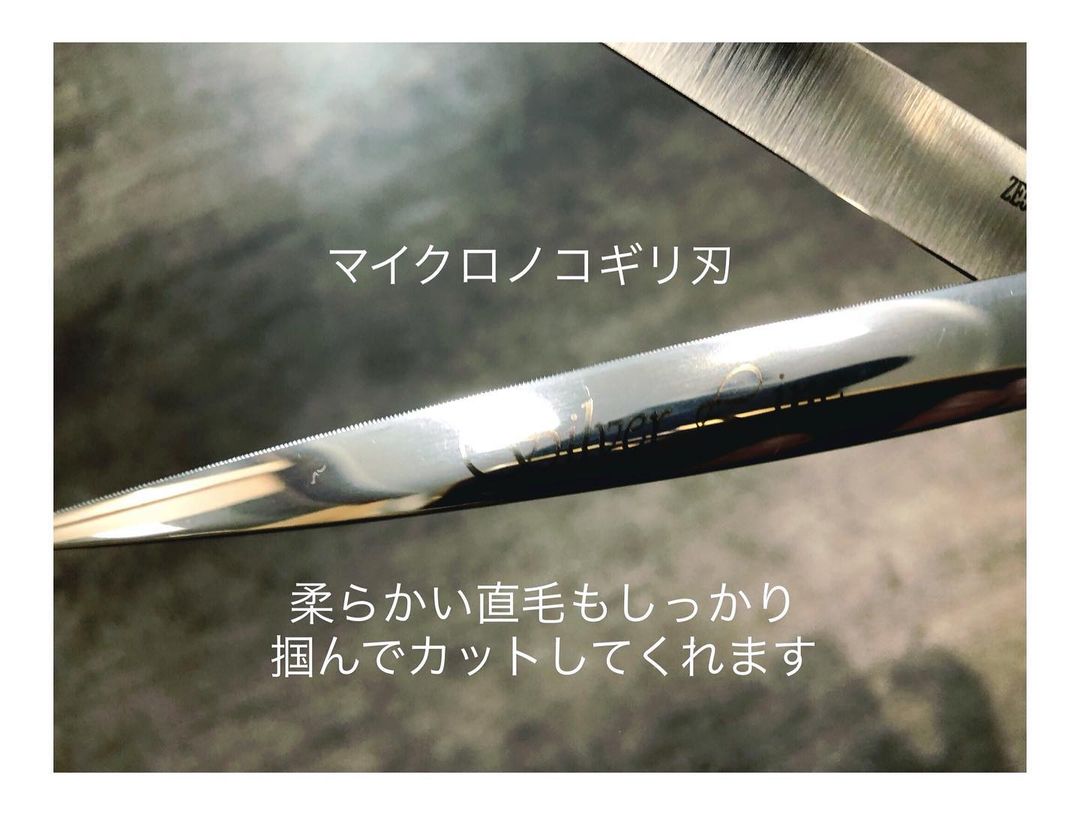 毎日使うノコギリハサミ】紹介 - Silver Line Japan