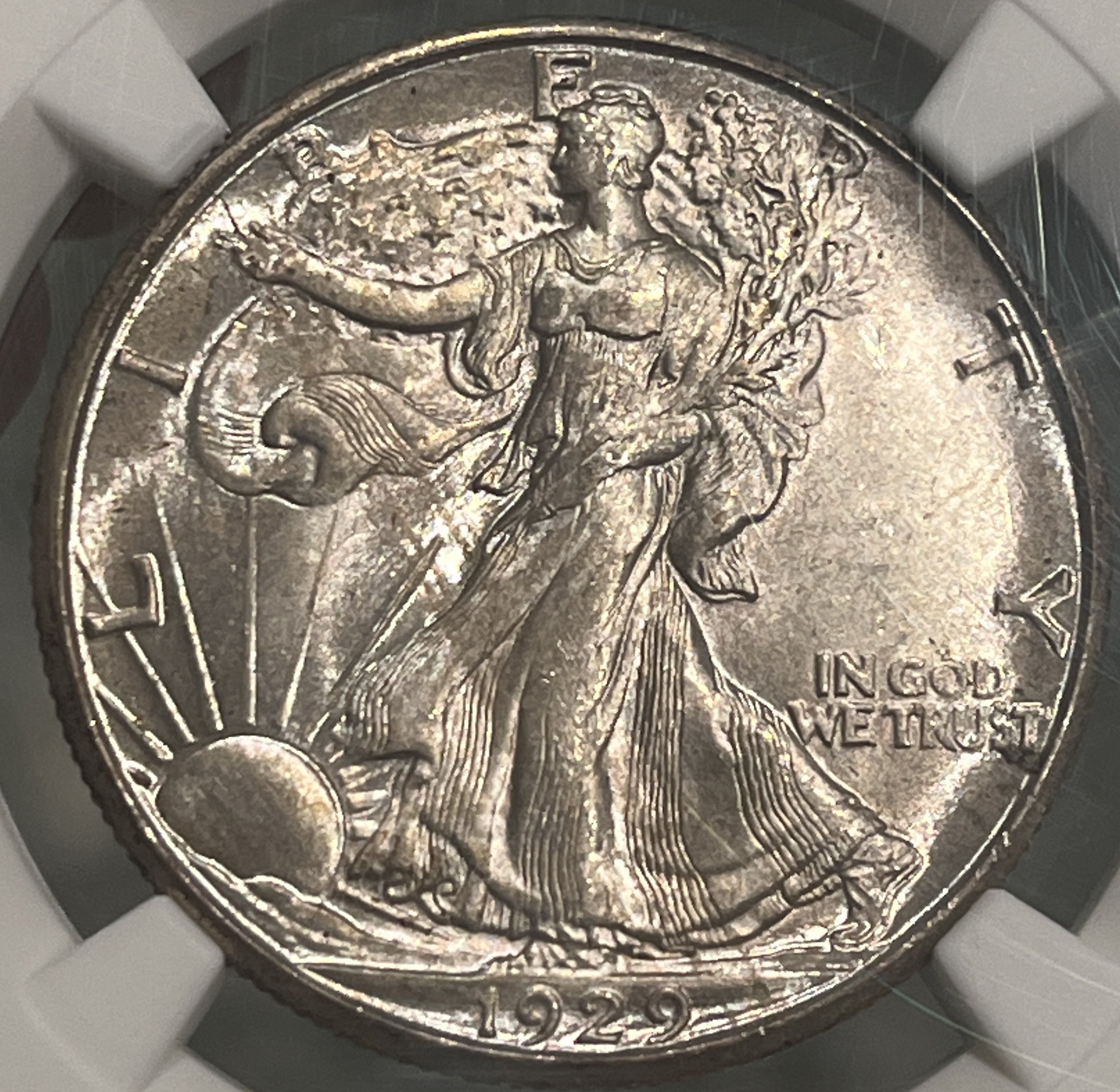 1929-D リンカーン ウィート セント NGC MS63 RD 1929 D 1C MS | Coin