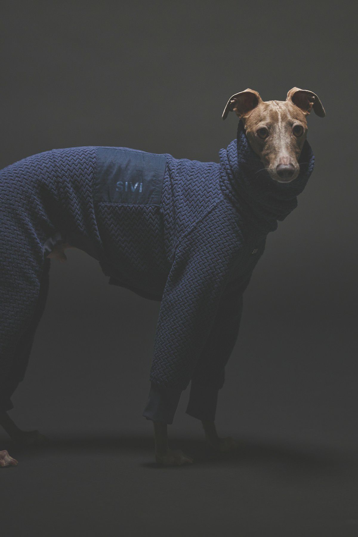 SIVI テクニカルフリースカバーオール | SIVI｜イタグレ 服